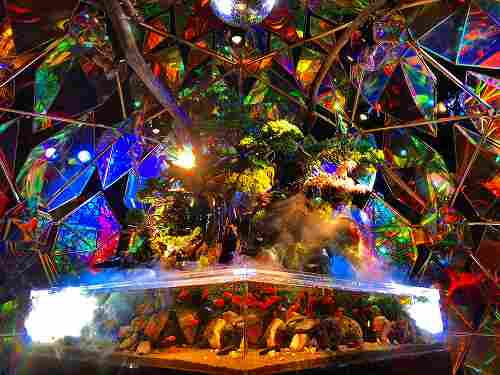 『ミ・ナーラ』で金魚ミュージアムやトリックアートを楽しもう