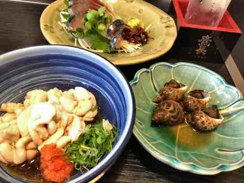 日本酒＆一品料理が美味！今井町の蕎麦屋『粋庵』＠橿原市