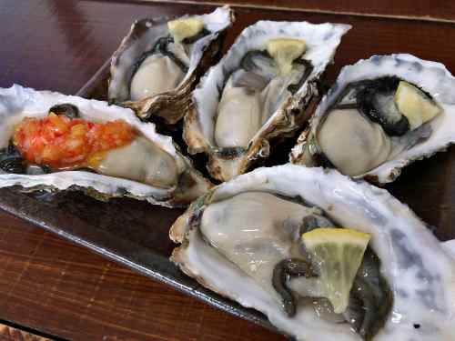 牡蠣小屋で味わう絶品の浦村かき！『かき太郎』＠三重県鳥羽市