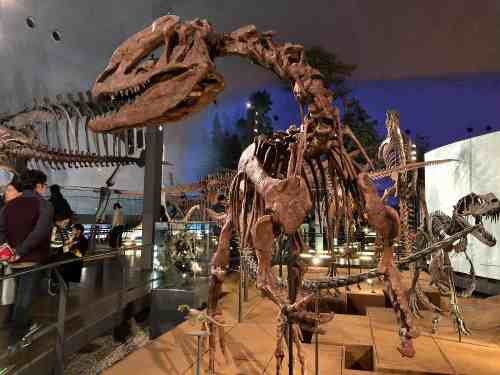 かっこいい！大人も夢中になる『福井県立恐竜博物館』＠福井県
