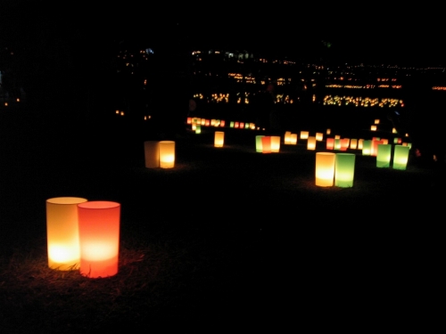 なら燈花会「浮雲園地・春日野園地会場」-04