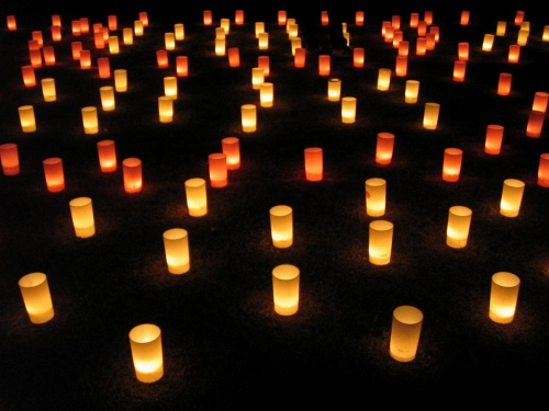 なら燈花会「浮雲園地・春日野園地会場」-07