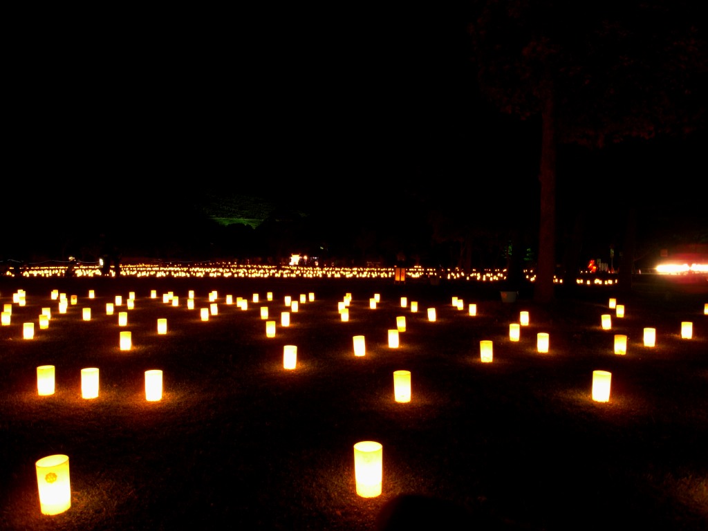 なら燈花会「浮雲園地・春日野園地会場」-09