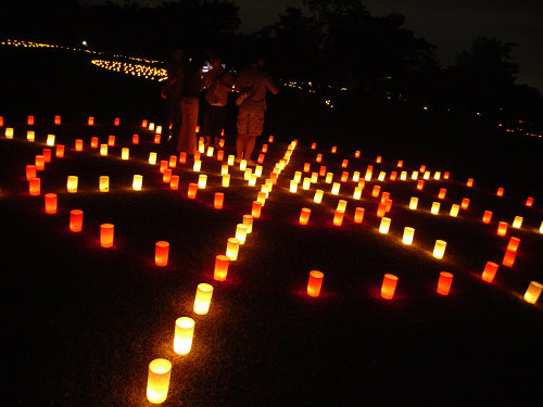 なら燈花会「浮雲園地・春日野園地会場」-15