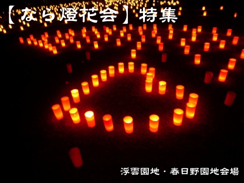 『なら燈花会』ガイド「浮雲園地会場・春日野園地会場」