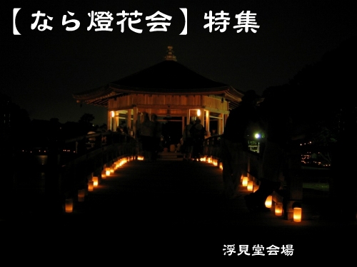 『なら燈花会』ガイド「浮見堂会場」