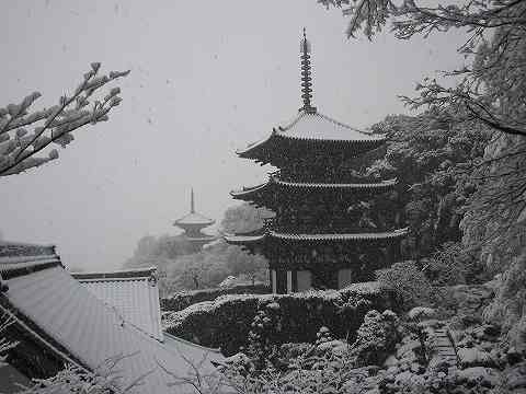 大雪の『当麻寺』はより美しく！