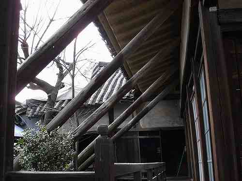 倒壊寸前!?荒れたお寺「称念寺」がスゴイ！