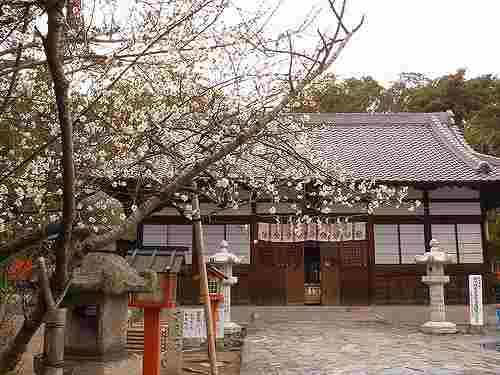 和歌の神様を祀る和歌浦『玉津島神社』