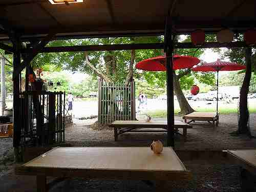 奈良公園では「わらび餅」を食べるべき！