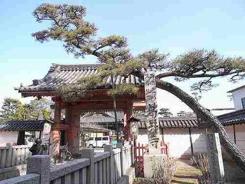 千本の手を持つ千手観音様『葛井寺』＠大阪府藤井寺市