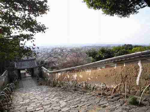 奈良盆地を一望！閻魔様と五色椿の『白毫寺』＠奈良市