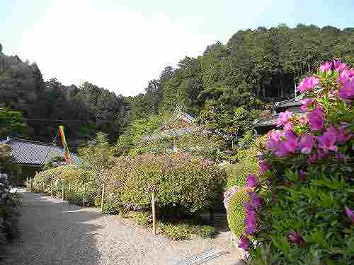 つつじ・しゃくなげが見事な花の寺『船宿寺』＠御所市