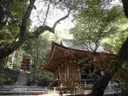 五重塔の初層開扉と五智如来像『室生寺』＠宇陀市