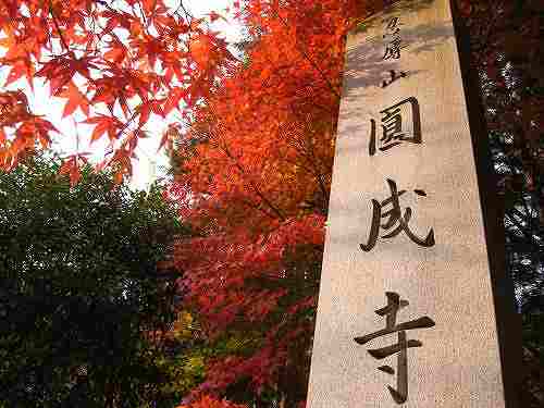 浄土式庭園に広がる見事な紅葉『円成寺』＠奈良市