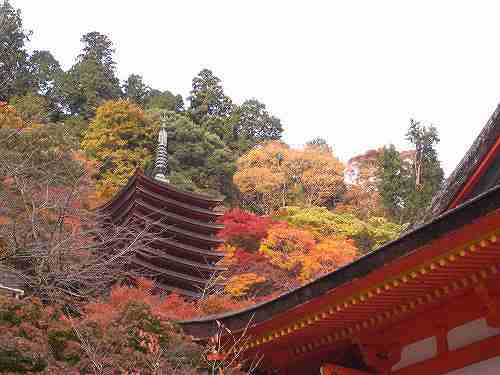 奈良を代表する紅葉の名所『談山神社』＠桜井市多武峰