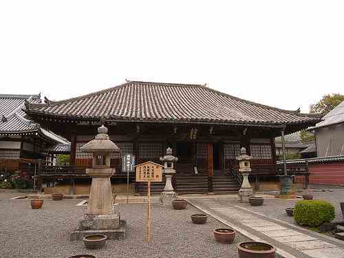 浄土庭園に牡丹が咲き乱れる『當麻寺 奥院』＠葛城市