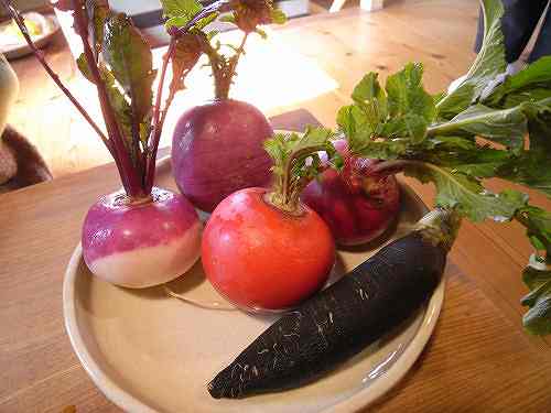 極上の大和野菜がいただける『粟 ならまち店』＠奈良町