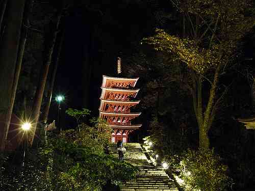 室生寺『国宝 五重塔と紅葉ライトアップ』＠宇陀市