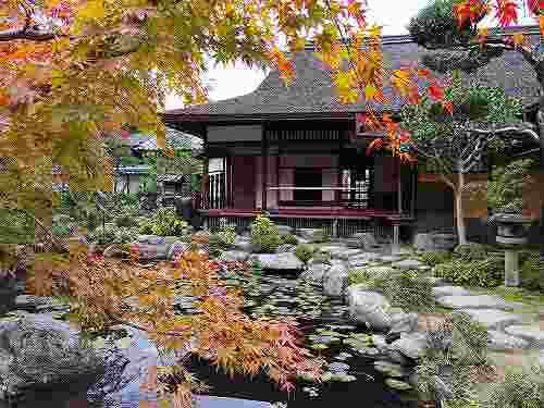 名園「香藕園」の紅葉がピーク『當麻寺中之坊』＠葛城市
