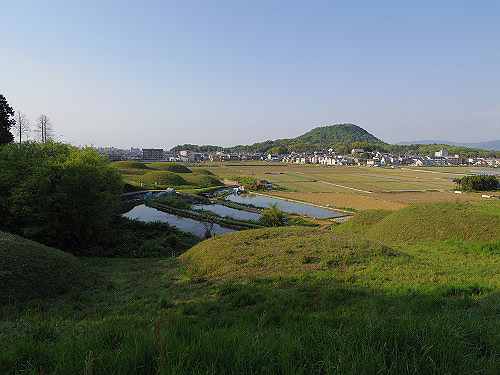 古墳だらけ！不思議な群集墳『新沢千塚古墳群』＠橿原市