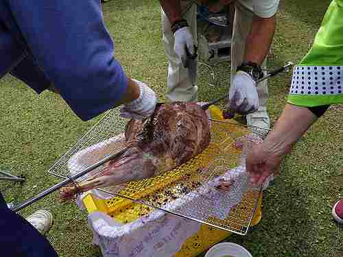 ダブル10周年記念！美味しく楽しい『十津川村食いもん市』