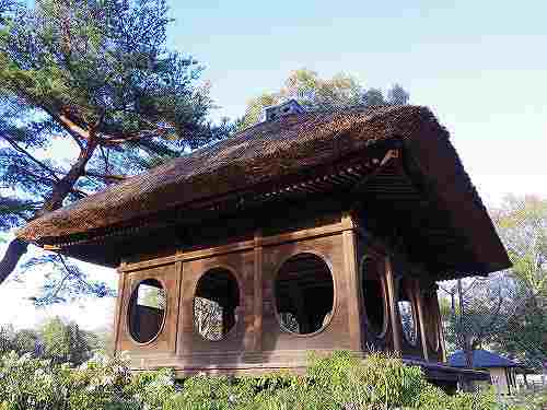 円窓亭に浮見堂。春の「浅茅ヶ原園地」散策＠奈良公園