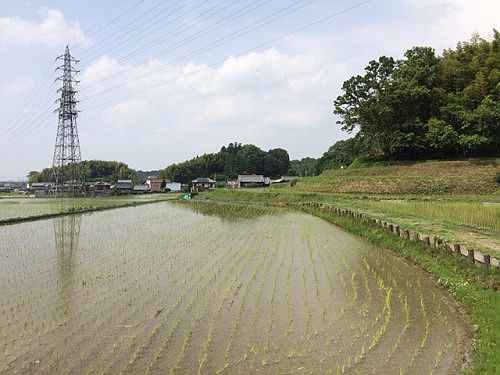 ヤマトタケル白鳥三陵の一つ『日本武尊白鳥陵』＠御所市
